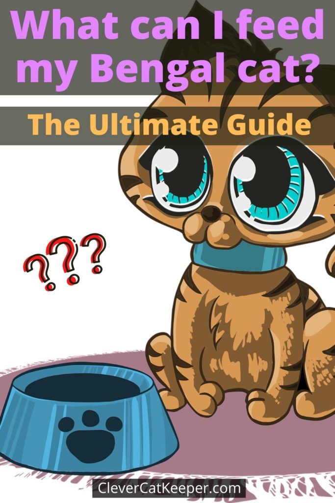 What can I feed my Bengal cat? (The Ultimate Guide) image